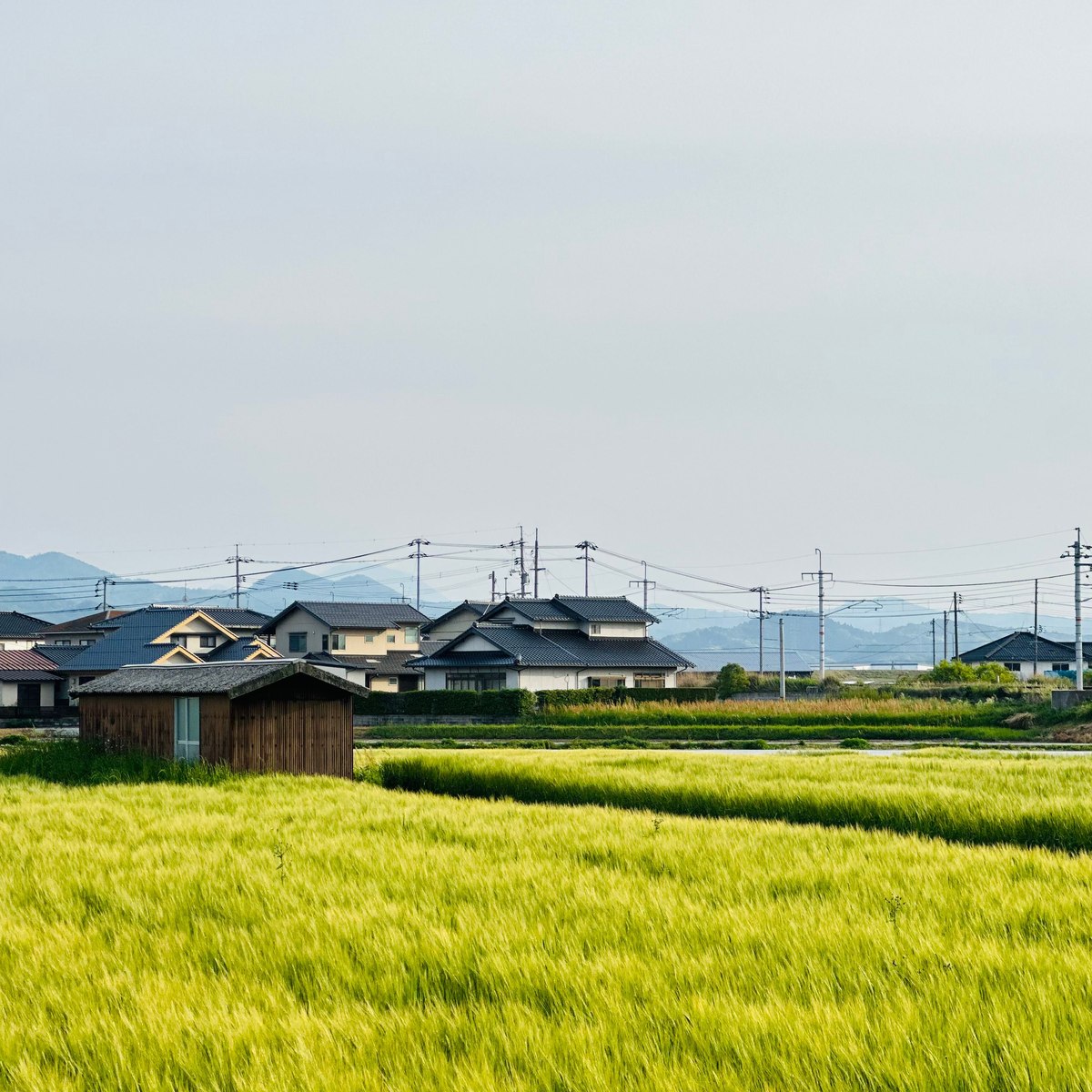 空き家となった一軒家の外観