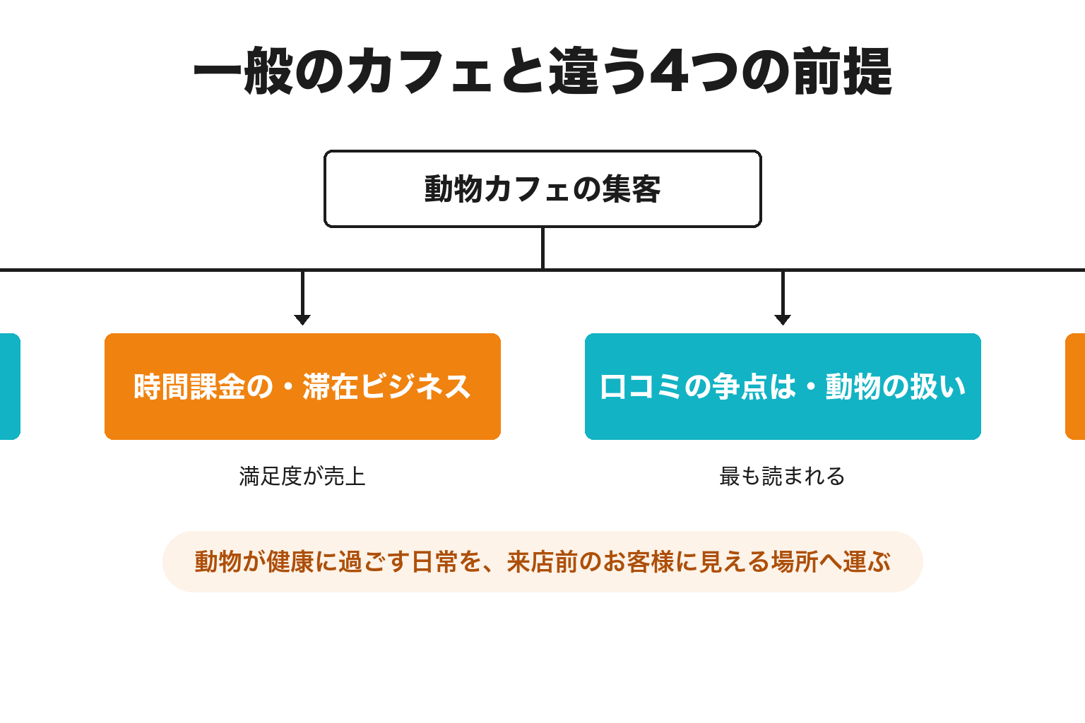 動物カフェの集客が一般のカフェと違う4つの理由