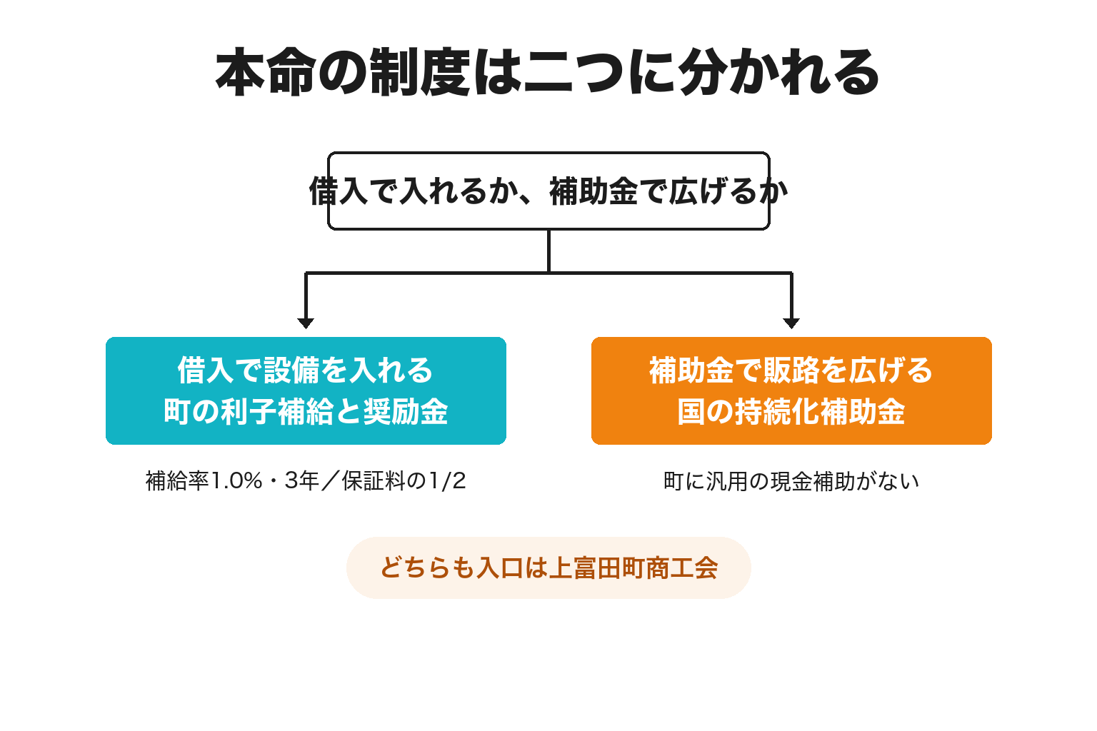 上富田町で借入型と補助金型の本命制度を分けた2分岐の図解
