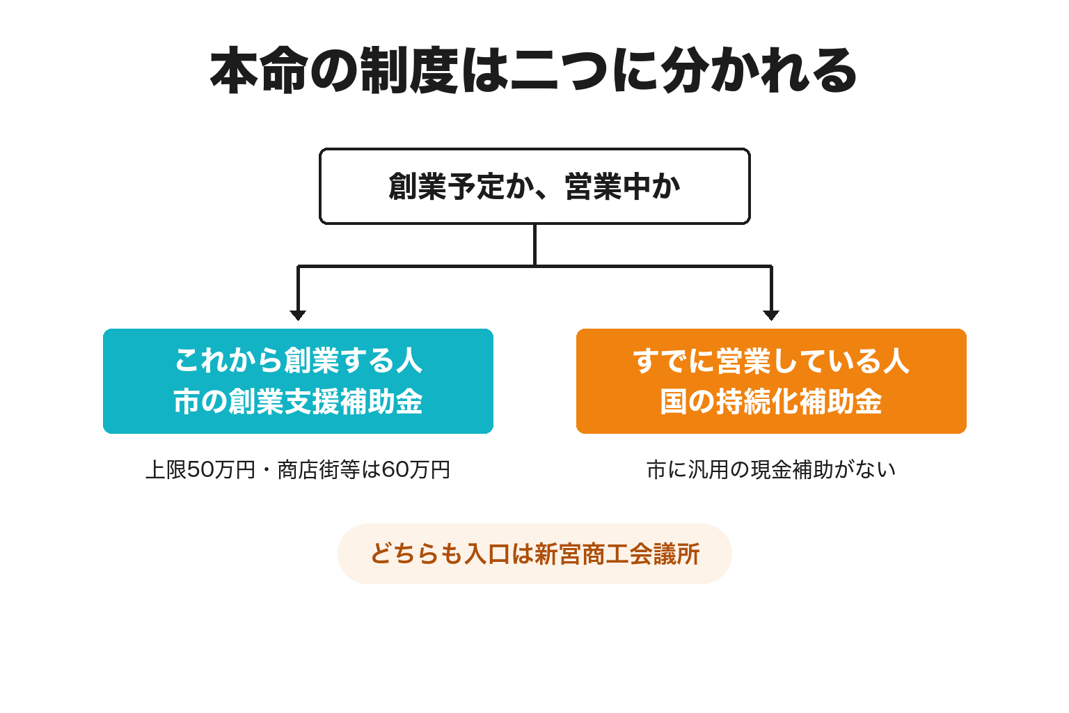 新宮市で創業予定者と既存事業者の本命制度を分けた2分岐の図解