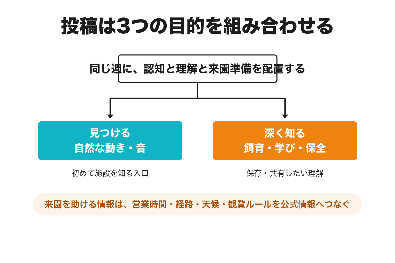 動物観光SNSの投稿目的を3種類に分ける方法