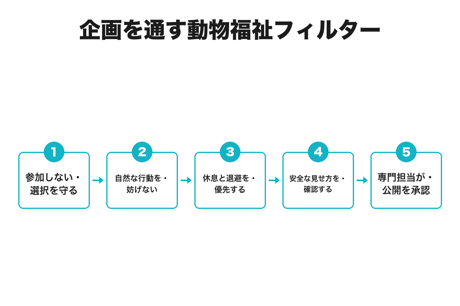 SNS投稿企画を動物福祉で確認する5項目