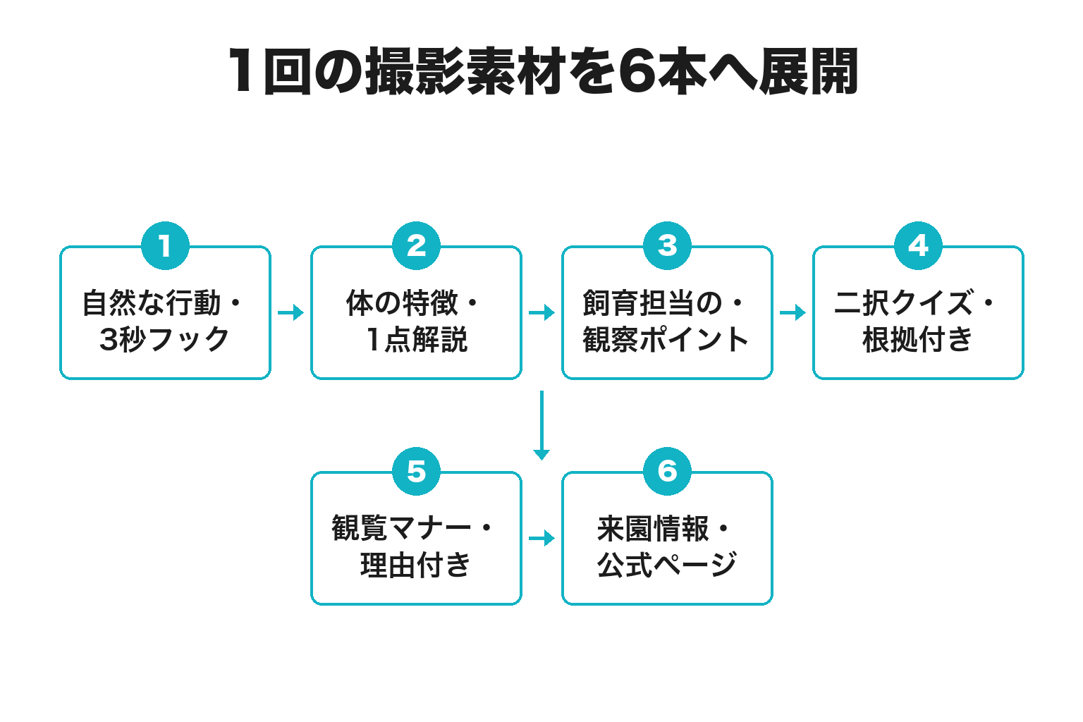 動物園・水族館SNSの4週間投稿カレンダー